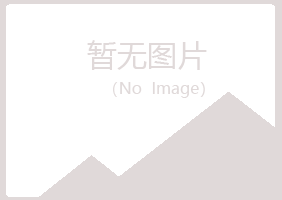 桦甸埋没音乐有限公司